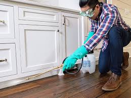 Best Pest Control for Multi-Family Homes  in Grand Ledge, MI